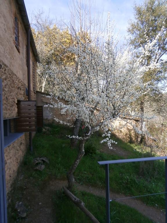 El Risco Del Lomero, Alberca 4 Huesp Max Valdelarco Экстерьер фото