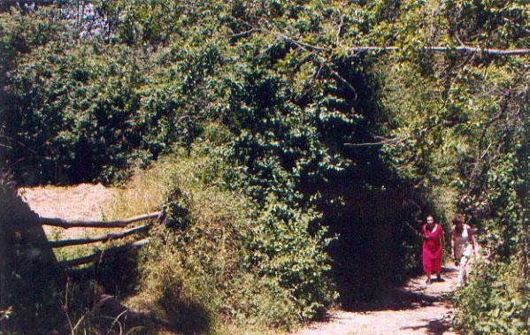 El Risco Del Lomero, Alberca 4 Huesp Max Valdelarco Экстерьер фото